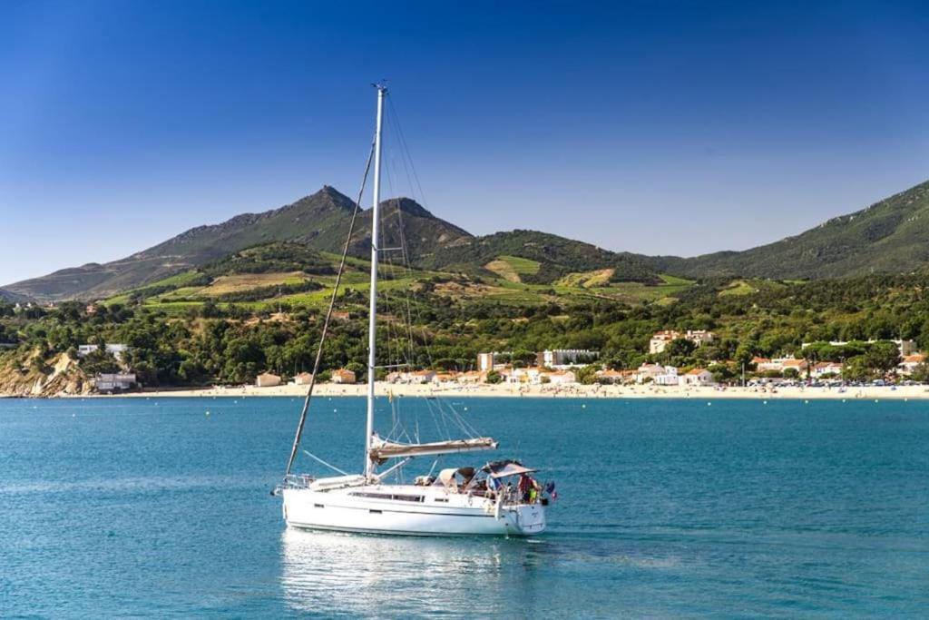"Les Bambous" Studio Cosy Climatise Au Calme De 37 M2 Parking Gratuit A Argeles Sur Mer Exteriér fotografie