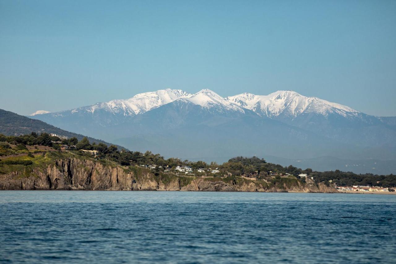"Les Bambous" Studio Cosy Climatise Au Calme De 37 M2 Parking Gratuit A Argeles Sur Mer Exteriér fotografie